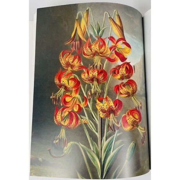 2008 Treasures of Botanical Art by Shirley Sherwood & Martyn Rix Artists Kew PB - Picture 3 of 13